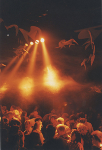Noorderlichtshow -  4 feb 1995