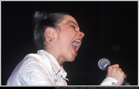 Björk - 22 nov 1993